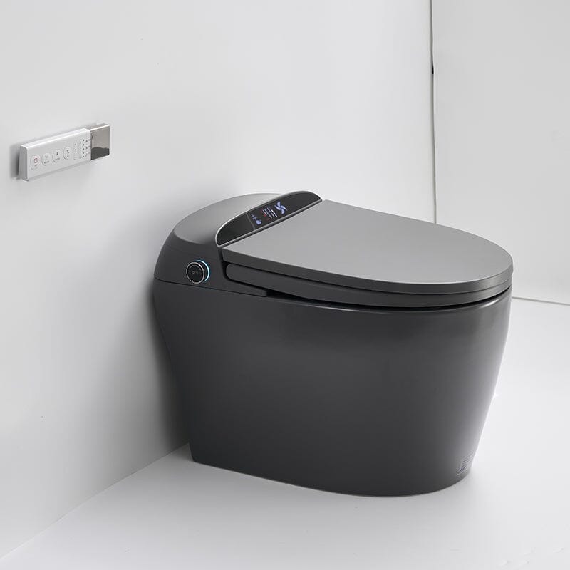 One-Piece Elongated Floor Smart Toilet with Remote Control and Automatic Cover