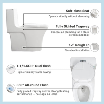 T12 Toilet Function Diagram