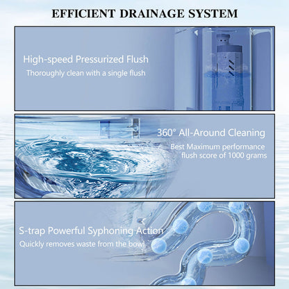 W1573GTP147635 pink toilet siphon flush function details
