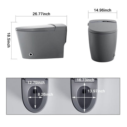 One-Piece Elongated Gray Smart Toilet Floor Mounted Automatic Toilet Self-Clean