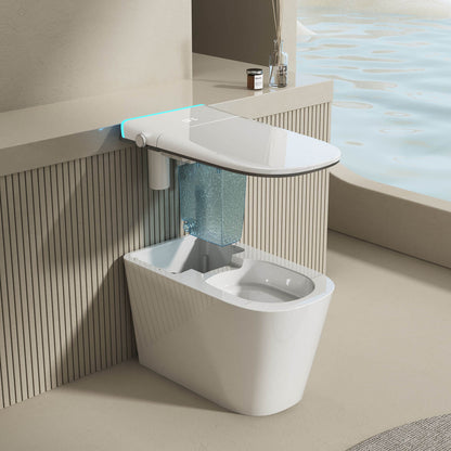 Modern silent flushing smart toilet structure