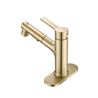 back view of Brushed Gold Pull-Down Bathroom Faucet with deck plate