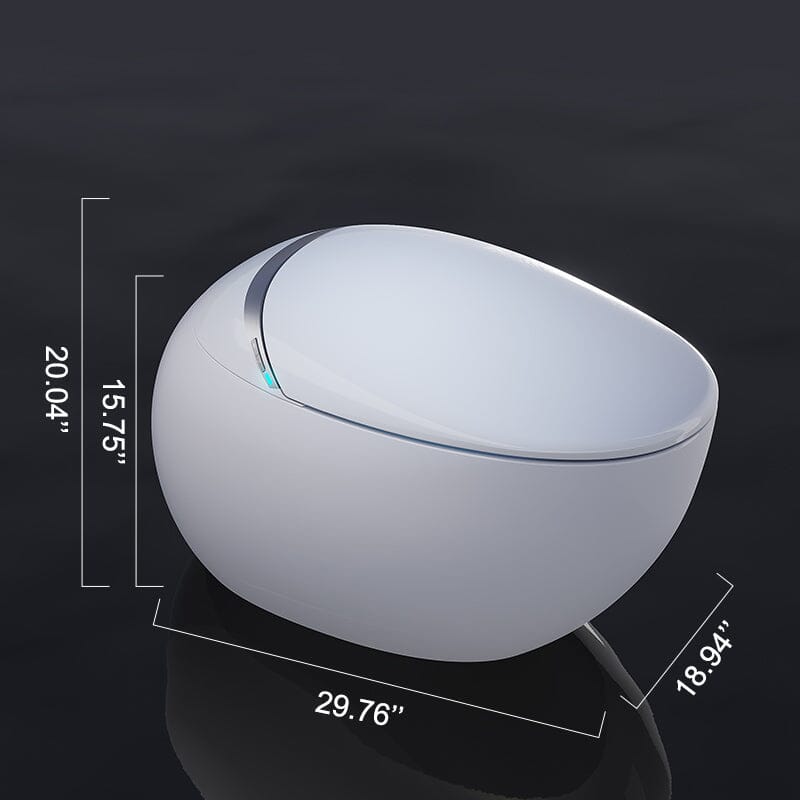 Modern Egg-Shaped Floor Mounted Smart Toilet with Built-in Water Tank
