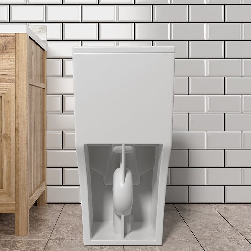 Dual Flush Elongated One Piece Toilet with Soft Close Seat Cover High-Efficiency Flush