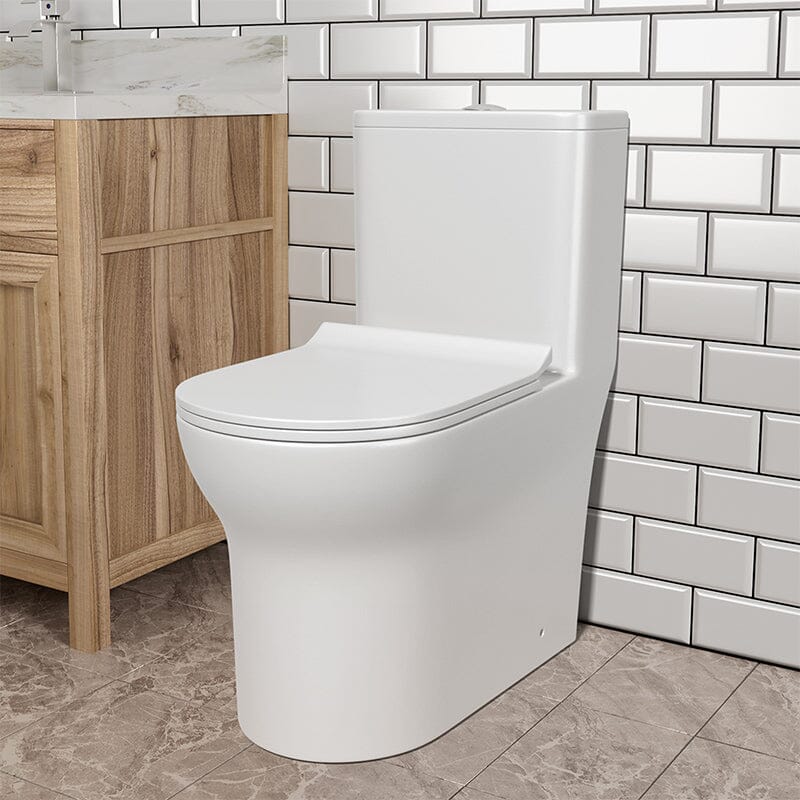 Dual Flush Elongated One Piece Toilet with Soft Close Seat Cover High-Efficiency Flush