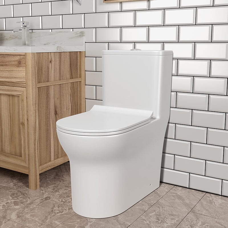 Dual Flush Elongated One Piece Toilet with Soft Close Seat Cover High-Efficiency Flush