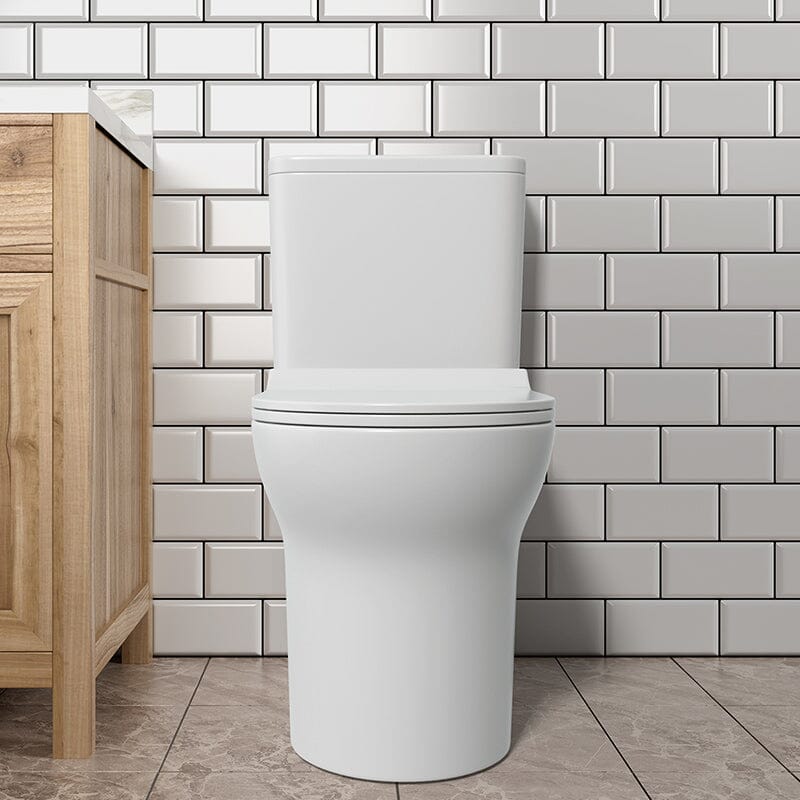 Dual Flush Elongated One Piece Toilet with Soft Close Seat Cover High-Efficiency Flush