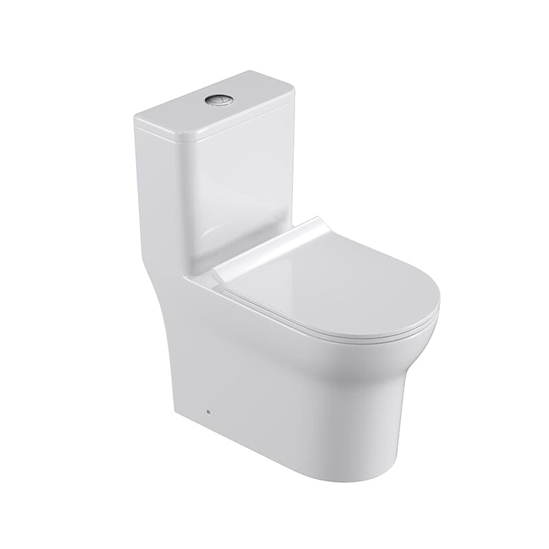 Dual Flush Elongated One Piece Toilet with Soft Close Seat Cover High-Efficiency Flush