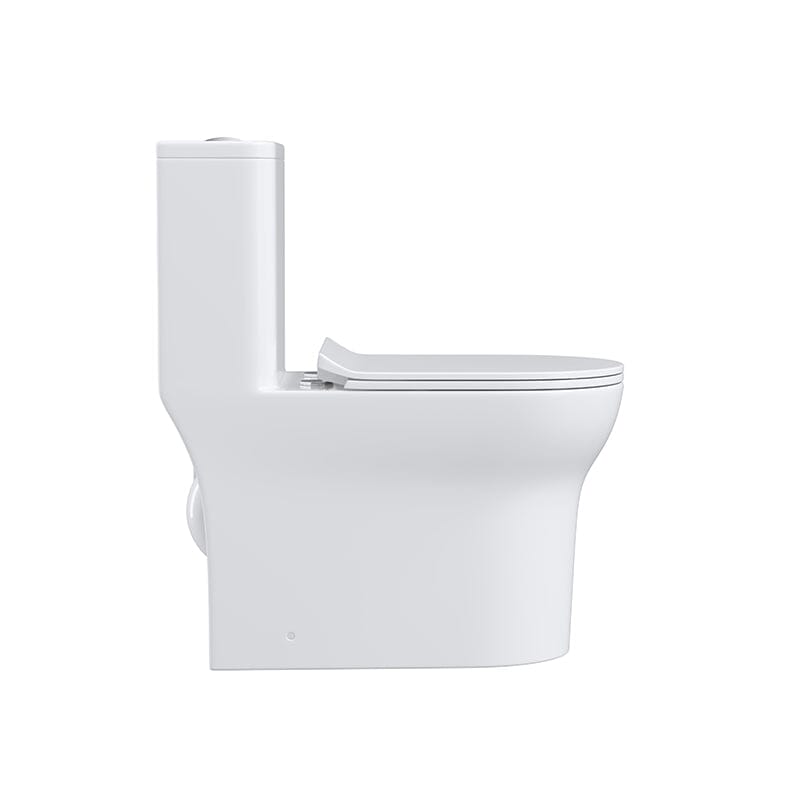 Dual Flush Elongated One Piece Toilet with Soft Close Seat Cover High-Efficiency Flush