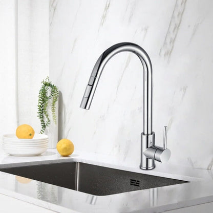 Giving Tree Kitchen Sink Faucet with Pull-out Flushing 360° Swivel Spout