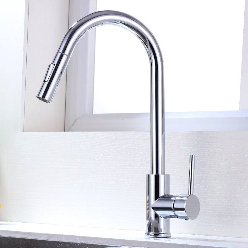 Giving Tree Kitchen Sink Faucet with Pull-out Flushing 360° Swivel Spout