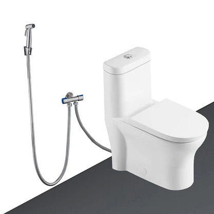 Giving Tree One-Piece Elongated Toilet Silent Siphon Jet Double Flushing with Bidet Sprayer
