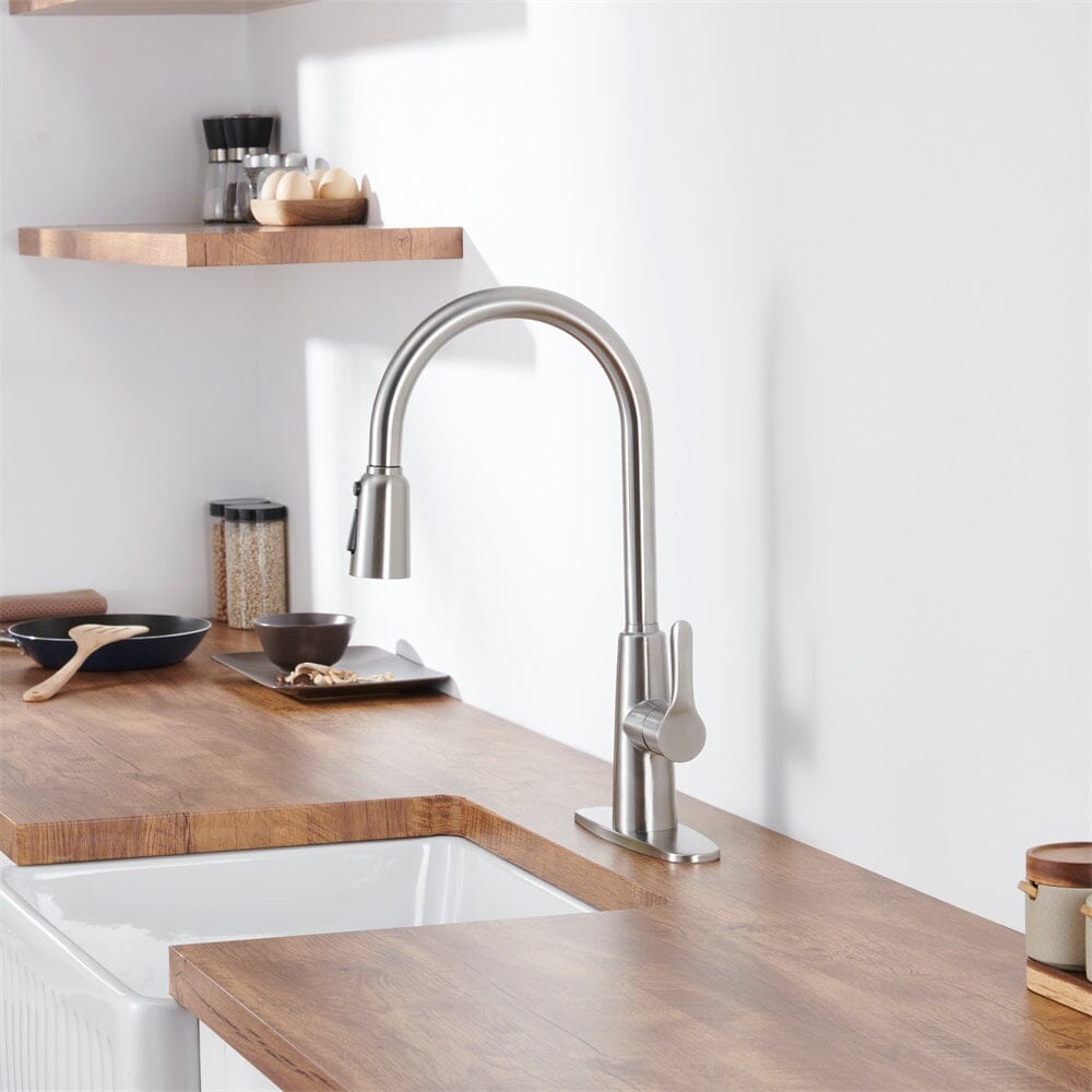 Giving Tree Kitchen Sink Faucet with Pull Out Sprayer Brushed Nickel