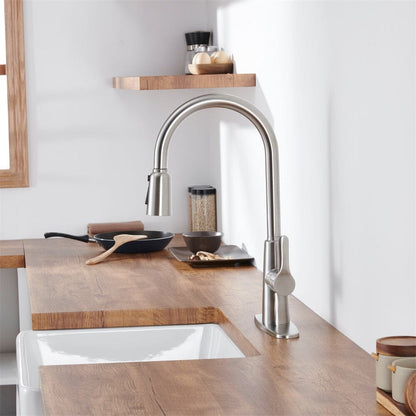 Giving Tree Kitchen Sink Faucet with Pull Out Sprayer Brushed Nickel