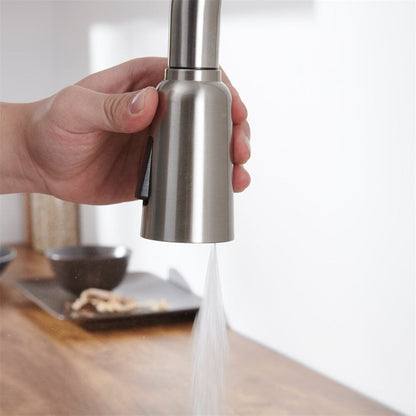 Giving Tree Kitchen Sink Faucet with Pull Out Sprayer Brushed Nickel