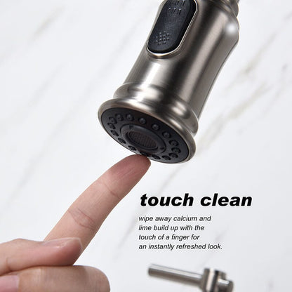 Giving Tree Bridge Kitchen Faucet with Pull-Down Sprayhead in Spot