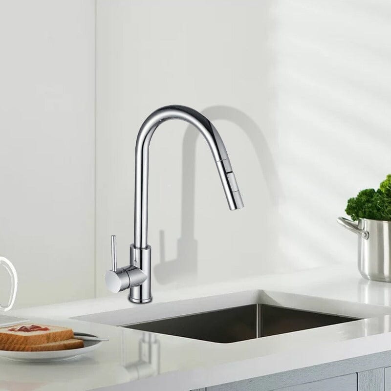 Giving Tree Kitchen Sink Faucet with Pull-out Flushing 360° Swivel Spout