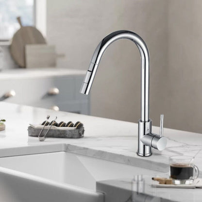 Giving Tree Kitchen Sink Faucet with Pull-out Flushing 360° Swivel Spout